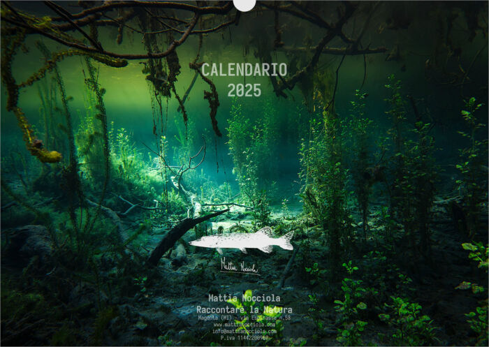 Calendario 2025 Underwater